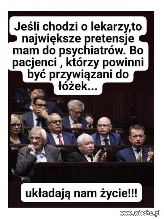 Coś w tym jest