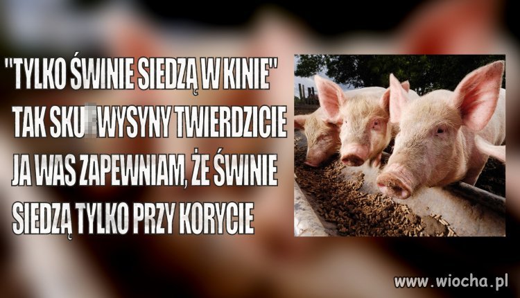 Tylko ludzkie buce