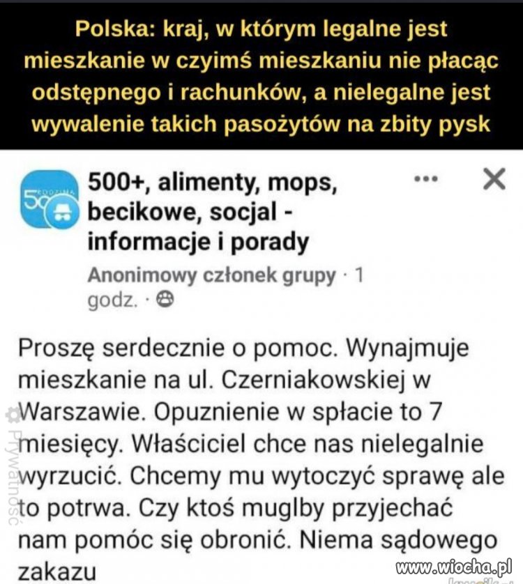 Problemy pisiej patologii