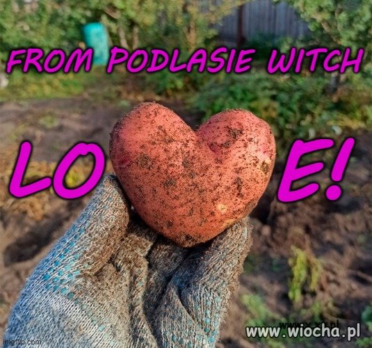 Dzięki za życzenia z Podlasia! 