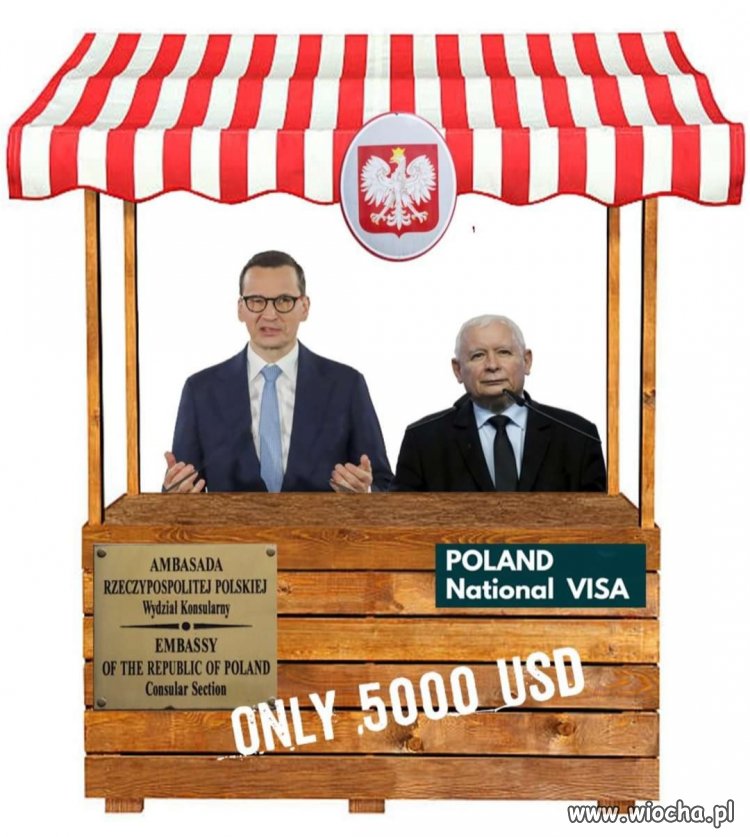 PiS w pigułce. 