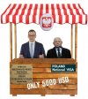 PiS w pigułce. 
