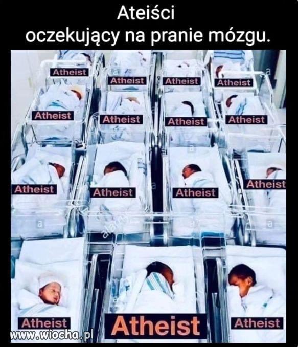 Potwierdzam