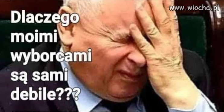 PiS to zbieranina drobnych cwaniaczkow i degeneratow!