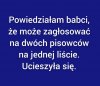 Popieram