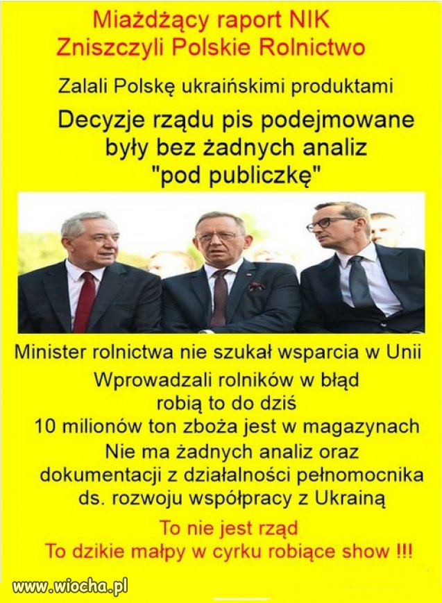 PiS nie zatrudnia ekspertow...sami wiedza co krasc