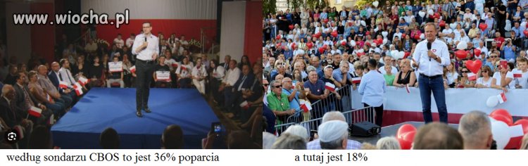 Tuż przed wyborami pis pewnie zgarnie z 200%