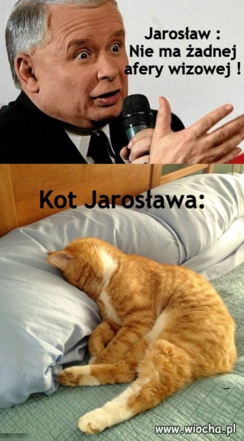 Kiedy musisz
