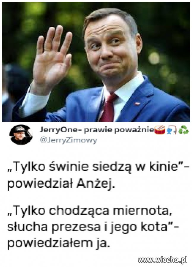 Dużo tych świń w naszym kraju