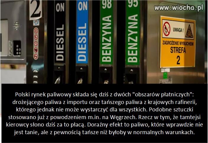 Idą wybory.