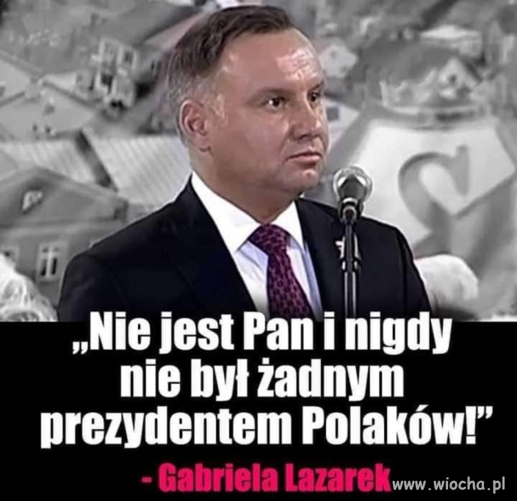 Moimi nigdy nie był, nie jest i nigdy, pajac, nie będzie