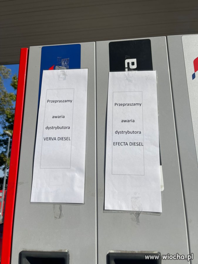 Co na to Jezus z Pcimia?