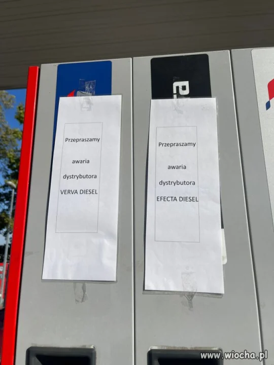 Co na to Jezus z Pcimia?