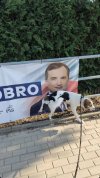 I jak nie kochać zwierząt