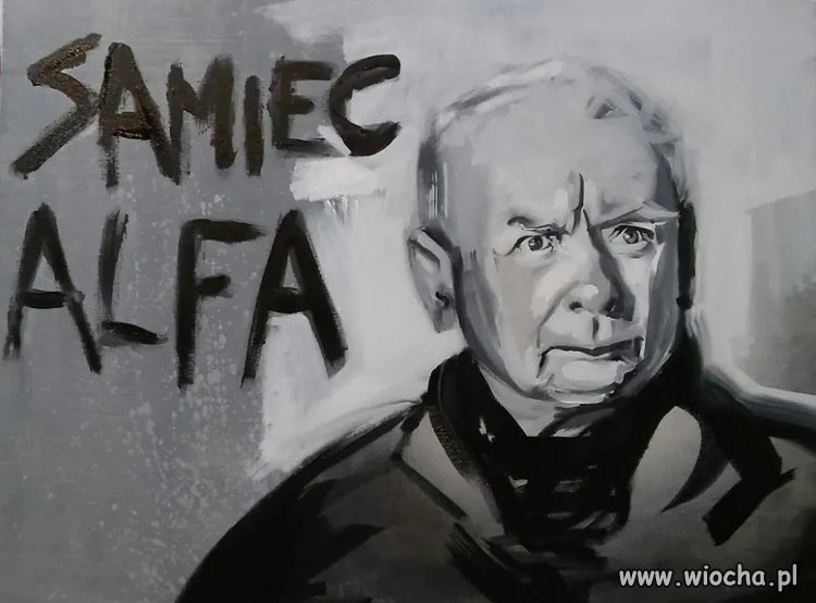Jaki kraj, taki "Samiec Alfa"...