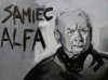 Jaki kraj, taki "Samiec Alfa"...