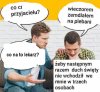 Trochę przesadzili