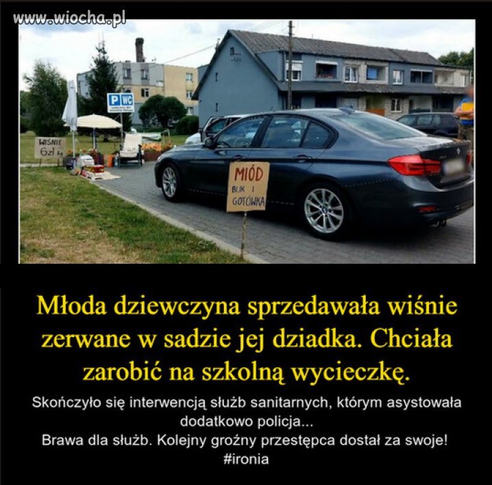 A pomyślcie, że ktoś uczynny musiał podkablować.