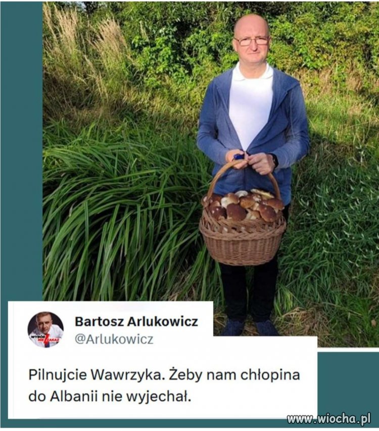 Wyjedzie do Albanii???