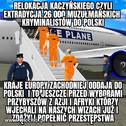 Szanowny pisowski pelikanie czy wiesz że...
