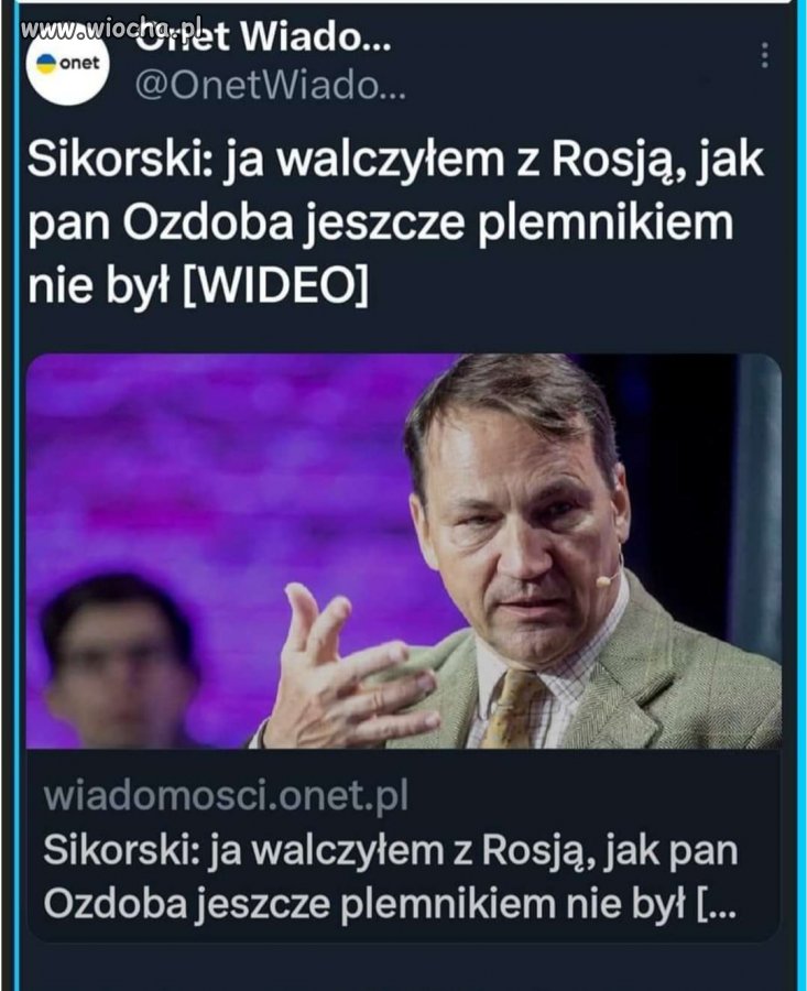 Radek orze pisowskiego debila 