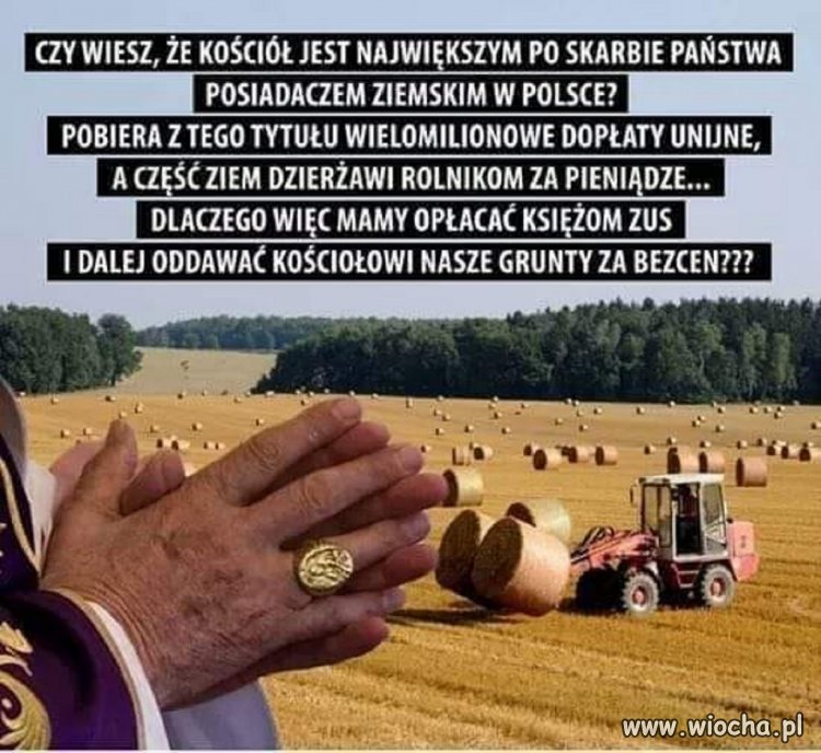 Bez komentarza