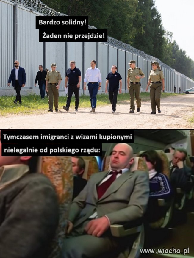 Solidny ten płot!