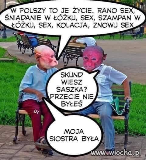 Tak wygląda