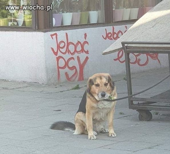 Taka sytuacja.