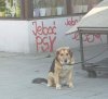 Taka sytuacja.