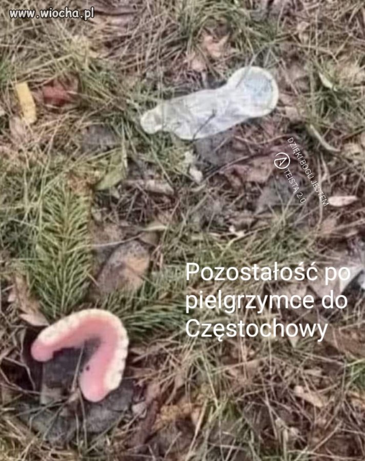 Pielgrzymkowe reminiscencje