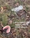 Pielgrzymkowe reminiscencje