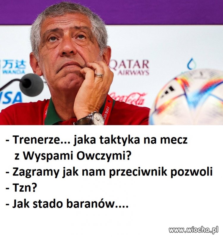Pasował by jakiś pies pasterski na kapitana drużyny...
