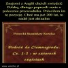 Polska PiSu, sto lat za murzynami i 200 za cywilizacją!