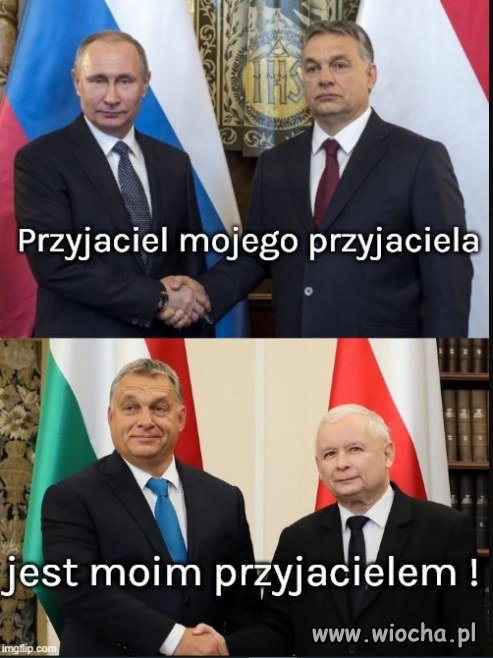 Z cyklu 
