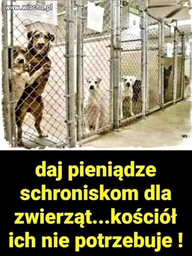 I wszystko wiadomo