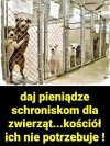 I wszystko wiadomo