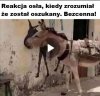 Coś dla wyborców PiS.