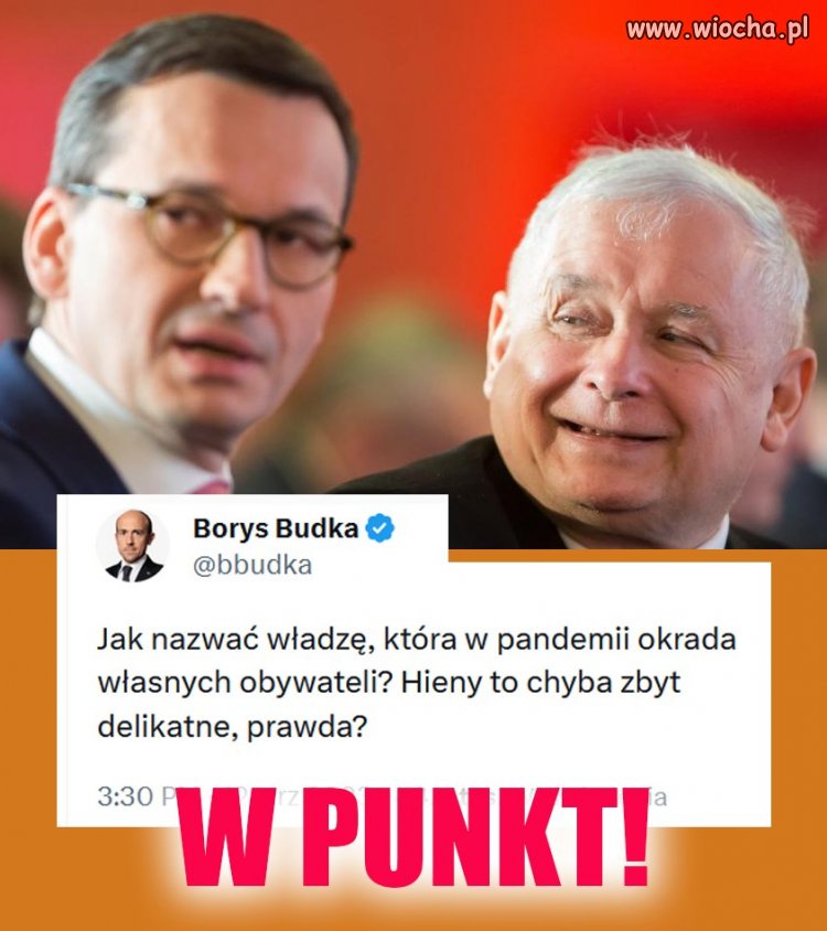 Lato nadeszło, lato przeminie a na jesieni pisizm zaginie.