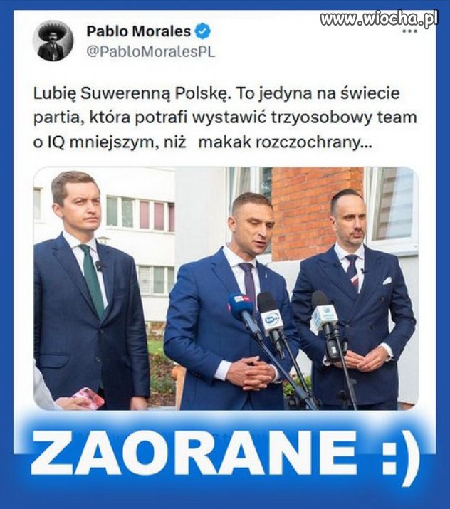 Super trio, mistrzowie pisiego intelektu...IQ 100, razem!