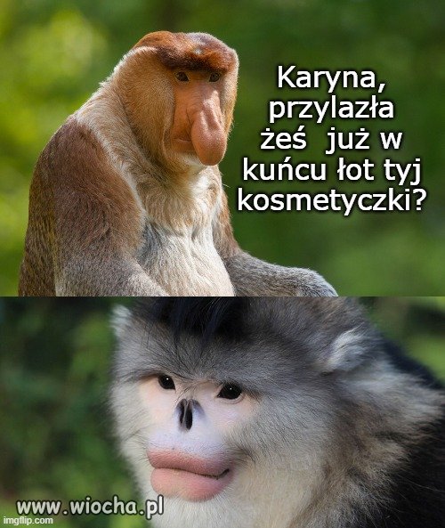 Seba, bydzieszł mioł  tera
