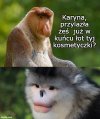 Seba, bydzieszł mioł  tera