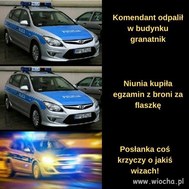 PiSlicja