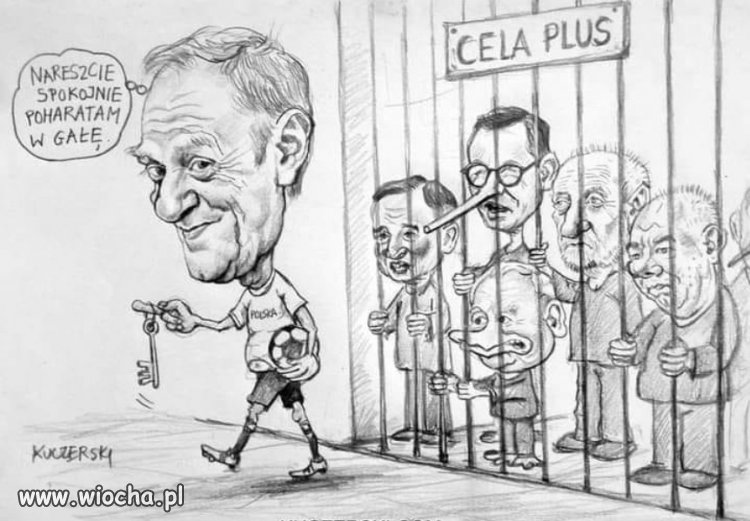 Nowy program dla PiSu: "Cela plus"...