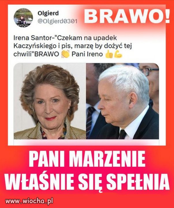 Reprezentanci polskiej kultury nie popieraja holoty PiSu!