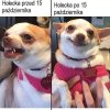 Ciekawe co w CV nakłamie
