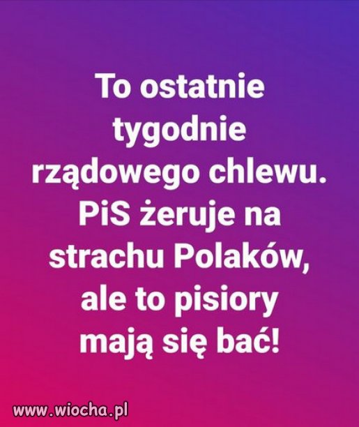 To PiSiory trzesa portkami, bo KONSTYTUCJA wygra!