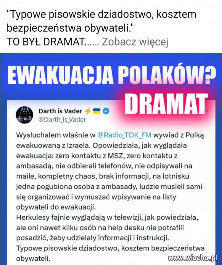 Pisowskie patałachy