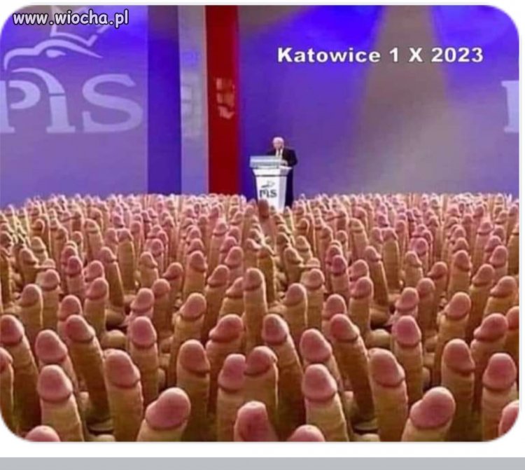 Konwencja PiS 