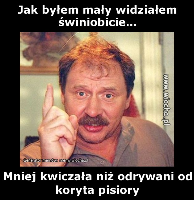 Jak byłem mały widziałem świniobicie...